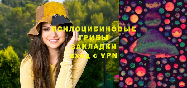 первитин Лагань