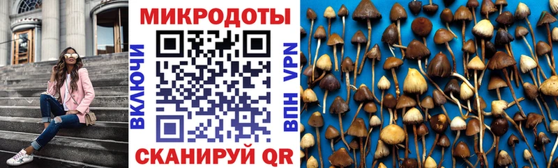 закладки  Урюпинск  Псилоцибиновые грибы прущие грибы 
